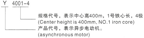 西安泰富西玛Y系列(H355-1000)高压黄冈三相异步电机型号说明
